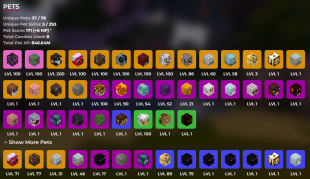⭐12B Networth | 1.8B Purse | 839 MP | 24 Minion Slots | 52 Collections Maxed❗Solo Coop - image