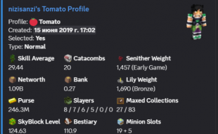 1.1B NW / 250M PURSE / 20 CATA / 30 SA / 124 LVL SB / 3 HOTM / GOOD SLAYERS / MAIL - image