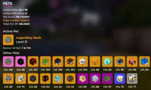 PROFILE⭐2B Networth | 646M Coins Purse | 456 MP | Many Pets | 25 Minion Slots❗All Unsoulbound - image
