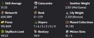 ✅❗️Solo-Coop | MVP+ | 119 SB lvl | 31 AVG | Cata 29 | 604M NW | Full accept | Hypixel SkyBlock❗️✅ - image