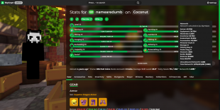 ⚡VIP RANK SKYBLOCK | NETWORTH 1.08B ALL UNSOULBOUND | SA 25 | SB LVL 56 | 19 MINION SLOTS ⚡ - image