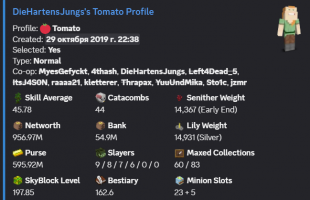 MVP+ / 1B NW / 44 CATA / 45 SA / 600M PURSE / 197 LVL SB / 5 HOTM / GOOD SLAYERS / MAIL - image