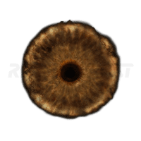 Rune (1 unit = 1,000 M runes = 1000,000,000 Runes )[PC/Steam] - image