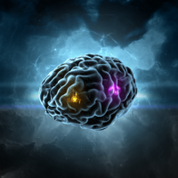 Mid-grade Rapture - image