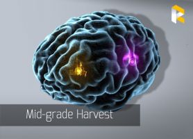 Mid-Grade Harvest - full set with omega - image