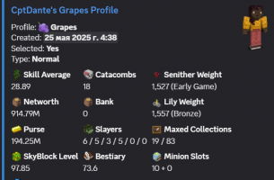 VIP / 900M NW / 200M PURSE / 18 CATA / 28 SA / 97 LVL SB / 13 GARDEN / GOOD SLAYERS / MAIL - image
