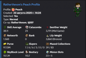 VIP / 1.56B NW / 100M PURSE / 23 CATA / 38 SA / 157 LVL SB / 55 MINING / MAIL - image