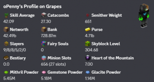 ❗️ MVP+ | NETWORTH 41.4B | SA 47 | HOTM 7 | SB LVL 304 | CATA 27 | SLAYERS 9/8/8/5/2 | 31 MINION ❗️ - image