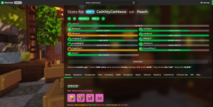 ❗️ MVP+ RANK | NETWORTH 26B | SA 37 | SB LVL 221 | CATA 30 | SLAYERS 9/6/8/7/2 | 24 MINION SLOTS ❗️ - image