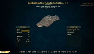 Unyielding Leather Armor Level 1 (Weapon Weight Reduction/Intelligence) 5/5 Full Set - image