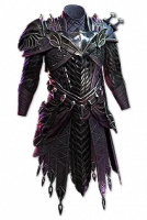 Cospri's Will Assassin Garb - Fast Delivery - image