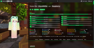 ⚡ MID GAME HYPIXEL SKYBLOCK ACCOUNT ⚡ 900M NETWORTH AND COMBAT 41 ⚡ - image