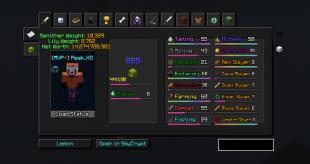 [MVP+] | SB lvl:285 | 14B NW | SA:45 | CATA:36 | SLAYER: 9/8/7/7/2/5 | HOTM:8 | MP: 1081 - image