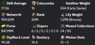 ✳️❗️ Solo-Coop | VIP+ | 90 SB lvl | 27 AVG | Cata 15 | 959m NW | Full accept | Hypixel SkyBlock ❗️✳️ - image