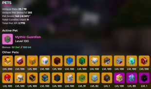 ⭐14B Networth | 5.1B Purse | 778 MP | Many Pets | 24 Minion Slots | 67 Collections Maxed❗Solo Coop - image