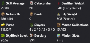 ✅❗️Solo-Coop | VIP | 70 SB lvl | 22 AVG | Cata 20 | 376M NW | Full accept | Hypixel SkyBlock❗️ - image