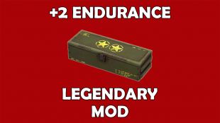Endurance Legendary Mod (Armor: +2 Endurance) - image