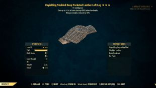 Unyielding Leather Armor Level 1 (Weapon Weight Reduction/Intelligence) 5/5 Full Set - image