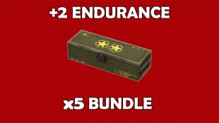 x5 Endurance Legendary Mod 5in1 Bundle (Armor: +2 Endurance) - image