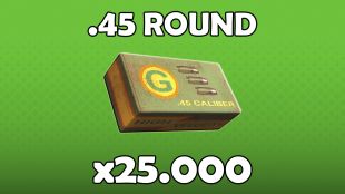 [XBOX] .45 Round x25000 - image