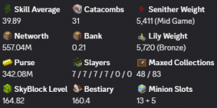 ✅❗️Solo-Coop | 164 SB lvB lvl | 39.89 AVG | Cata 31 | 557.04M NW | Full accept | Hypixel SkyBlock❗️✅ - image