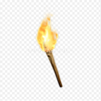 Torch - Druid - image
