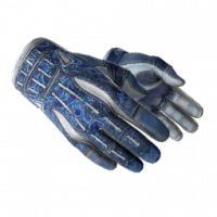 ★ Sport Gloves | Amphibious (Battle-Scarred) - image