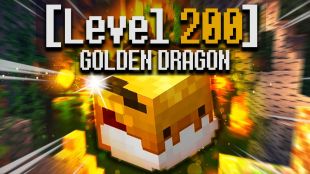 GOLDEN DRAGON 200LVL + LEGENDARY + 1x god pot gift - image