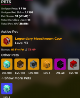 ⭐Vip Rank | 450M Networth | 145 SB Lvl | 20M Purse | Cata 28 | Hotm 7 | Slayers 7/5/5/3❗Owns Gta V - image