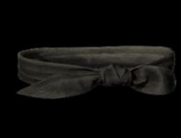 Buy ARACHNID MESH (CLEAN) SEASON 1 in PROJECT DIABLO 2 Items - Offer ...