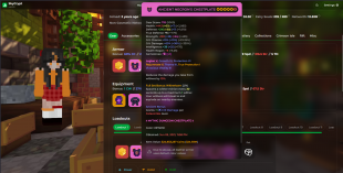 Buy Full Acc⭐13B NW ⭐LVL 22 in MINECRAFT: HYPIXEL Profiles - Offer ...